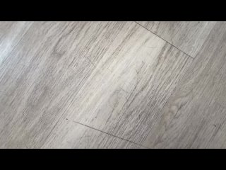 kristy black dredd(round 2 - full anal romp )1080p small tits young