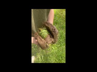 video by is overheard a great ustyug